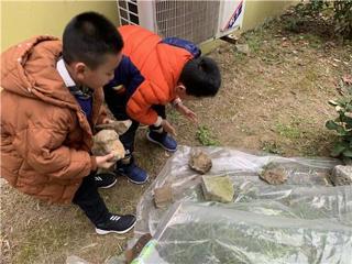 大班精彩瞬间：我为蔬菜盖“棉被“”