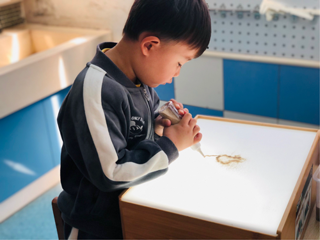 中班精彩瞬间：一沙一世界  一画一天堂