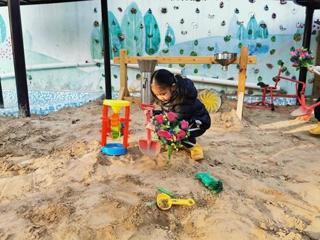 中班精彩瞬间：种花