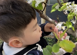 小班精彩瞬间：我找到了春天