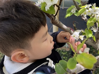 小班精彩瞬间：我找到了春天