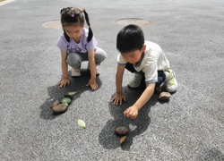 中班精彩瞬间： 影子朋友